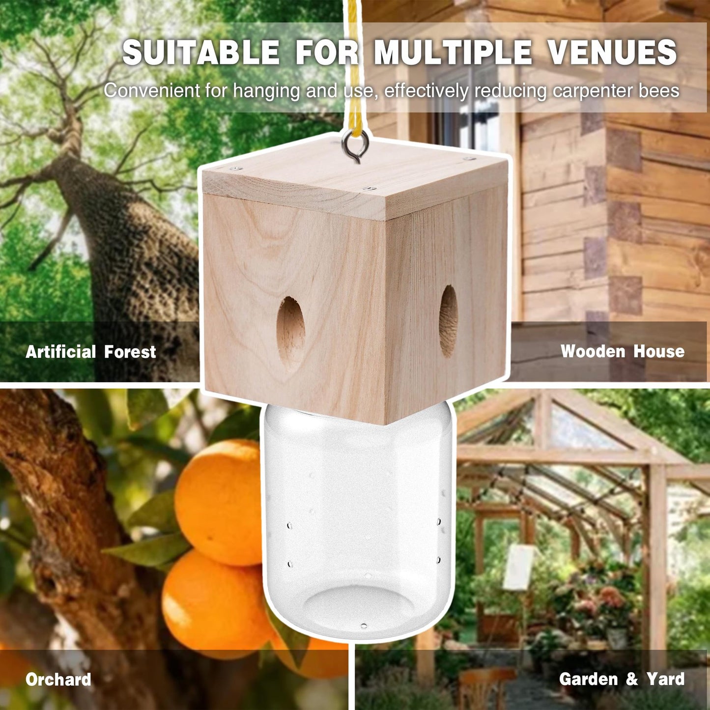 🐝 Ultimate Pro Carpenter Bee Trap – 2-in-1 Protection