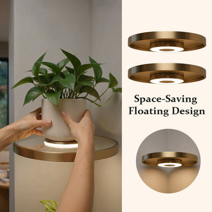 LED Floating Wall Shelf – Modern Plant Display Shelf with Warm Ambient Light