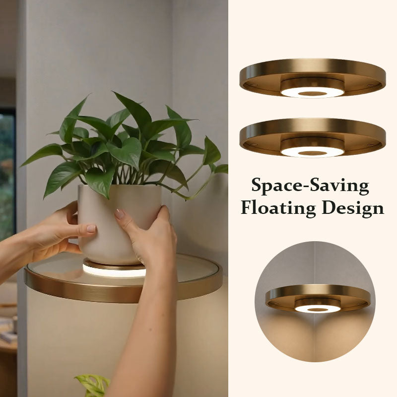 Buy 2 save 10%✨Most Popular&✈️FREE SHIPPING