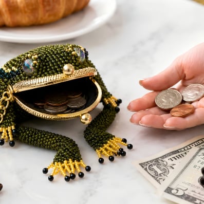 Charming Frog Coin Purse🐸