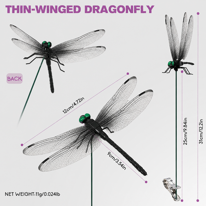 🌈 Realistic Dragonfly Clips – Colorful Garden & Outdoor Decor