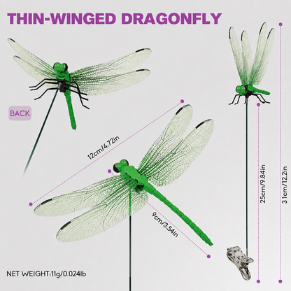 🌈 Realistic Dragonfly Clips – Colorful Garden & Outdoor Decor